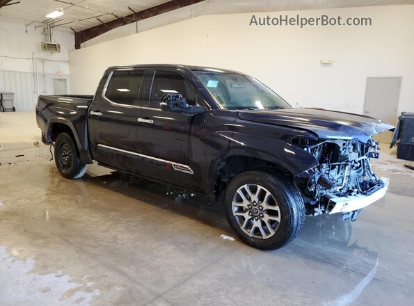 5TFMA5AB3RX032666 2024 TOYOTA TUNDRA Синий 