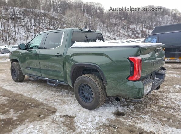 5TFMA5DB3PX103132 2023 TOYOTA TUNDRA Green Tył lewy