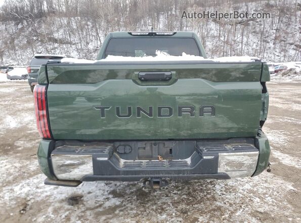 5TFMA5DB3PX103132 2023 TOYOTA TUNDRA Green Widok z tyłu