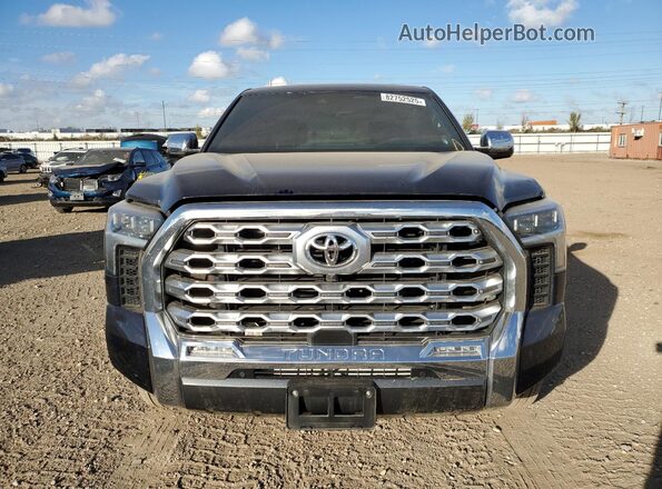 5TFMA5DB9RX173947 2024 TOYOTA TUNDRA Blue Vista frontal