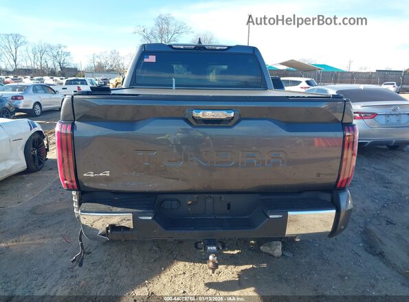 5TFMC5DB0RX077490 2024 TOYOTA TUNDRA HYBRID Gray 