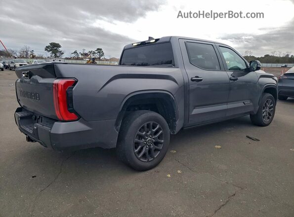 5TFNA5DB0PX105960 2023 TOYOTA TUNDRA Gray Tył prawy