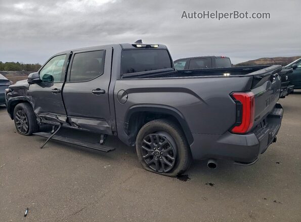 5TFNA5DB0PX105960 2023 TOYOTA TUNDRA Gray Tył lewy