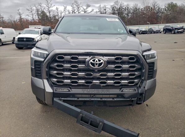 5TFNA5DB0PX105960 2023 TOYOTA TUNDRA Gray Widok z przodu