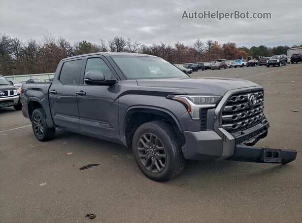 5TFNA5DB0PX105960 2023 TOYOTA TUNDRA Gray Przód prawy