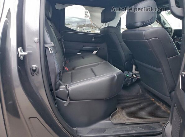 5TFNA5DB0PX105960 2023 TOYOTA TUNDRA Gray Widok tylnych siedzeń