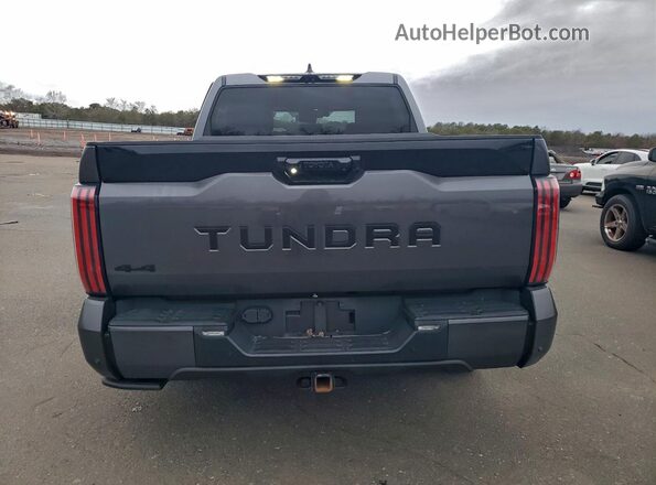 5TFNA5DB0PX105960 2023 TOYOTA TUNDRA Gray Widok z tyłu