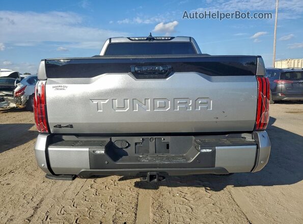 5TFNA5DB0SX285952 2025 TOYOTA TUNDRA Silver Widok z tyłu