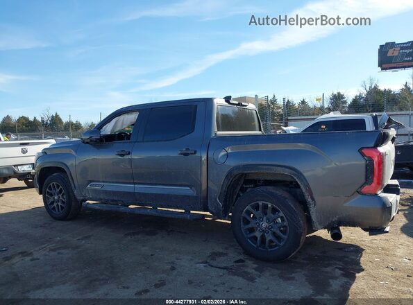 5TFNA5DB1SX296250 2025 TOYOTA TUNDRA Gray 