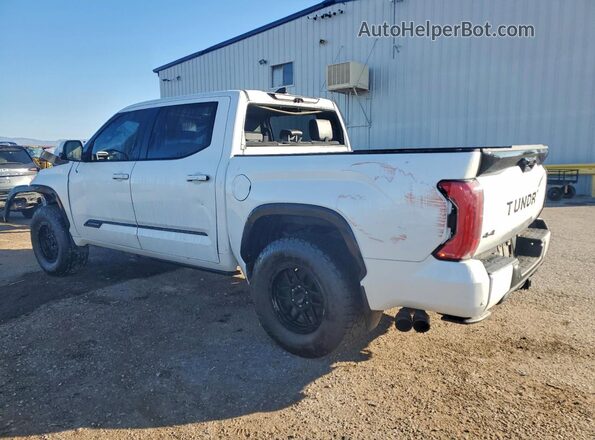 5TFNA5DB7NX031983 2022 TOYOTA TUNDRA White Tył lewy