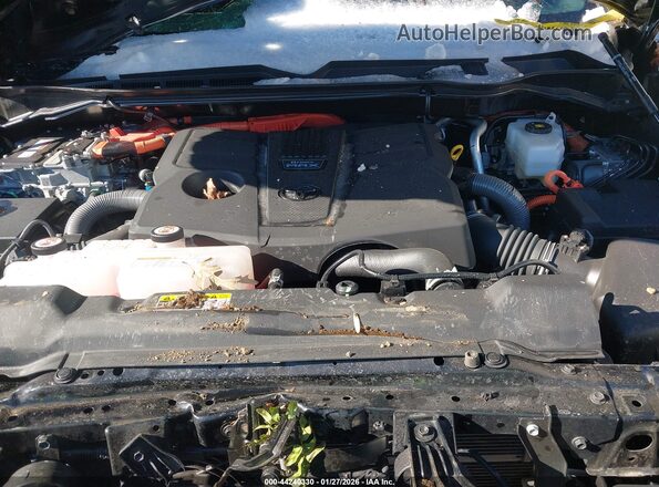 5TFPC5DB8RX083941 2024 TOYOTA TUNDRA HYBRID Black Widok z tyłu