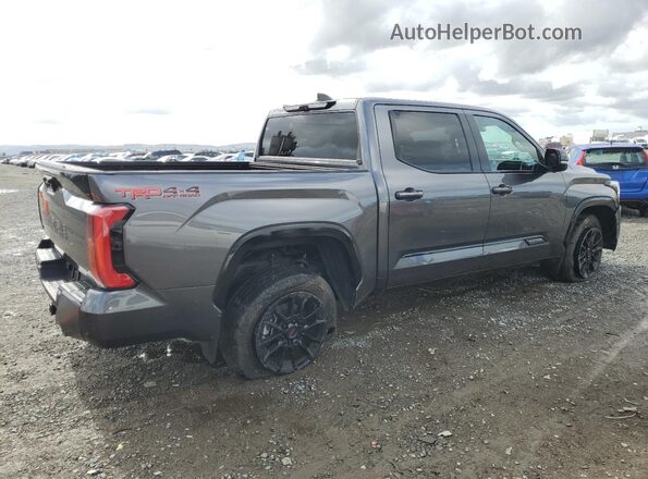 5TFWA5DB5RX185442 2024 TOYOTA LIMITED Серый Задняя правая четверть