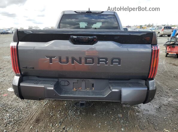 5TFWA5DB5RX185442 2024 TOYOTA LIMITED Серый Вид сзади