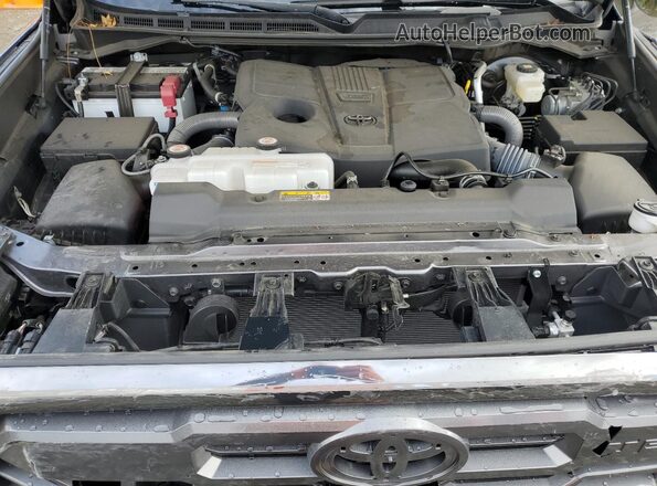 5TFWA5DB5RX185442 2024 TOYOTA LIMITED Серый Вид задней части салона