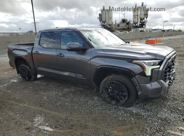 5TFWA5DB5RX185442 2024 TOYOTA LIMITED Серый Передняя правая четверть