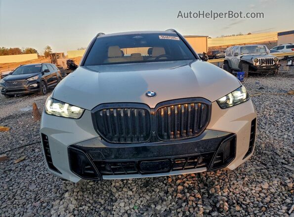 5UX13EU04R9V57665 2024 BMW X5 Gray Widok z przodu