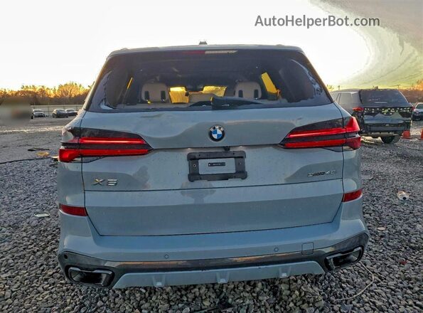 5UX13EU04R9V57665 2024 BMW X5 Gray Widok z tyłu