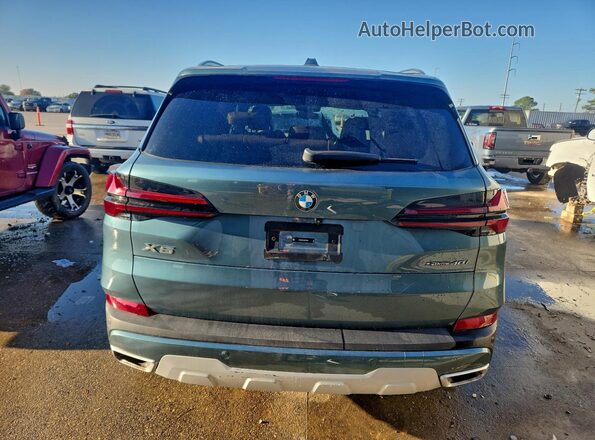 5UX13EU05S9Y43918 2025 BMW X5 Turquoise Rear view