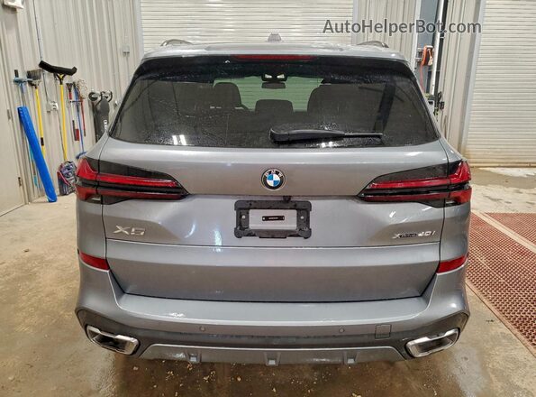 5UX23EU07S9Z24617 2025 BMW X5 Gray Հետևի տեսք