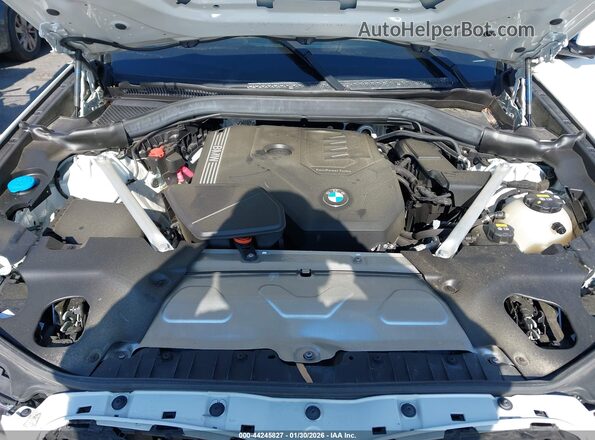 5UX33DT02P9N55057 2023 BMW X4 White Հետևի տեսք