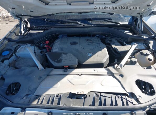 5UX53DP00P9N94037 2023 BMW X3 White Widok z tyłu