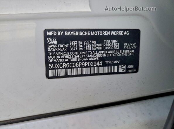 5UXCR6C06P9P02944 2023 BMW X5 Белый Вид наклейки с VIN-кодом