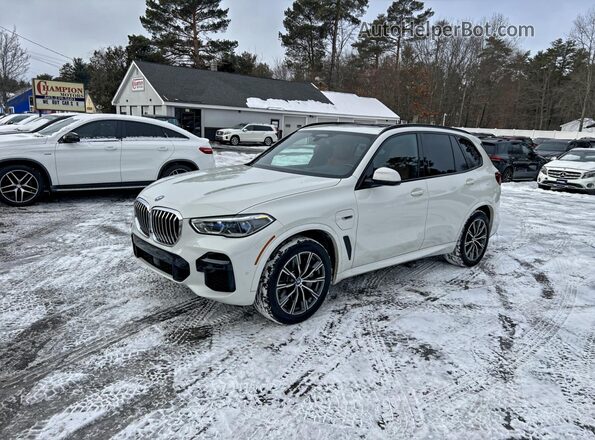 5UXTA6C09P9N68843 2023 BMW X5 White უკანა მარცხენა
