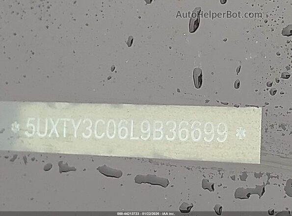 5UXTY3C06L9B36699 2020 BMW X3 Синий 