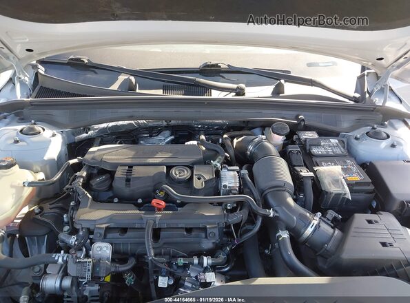 5XXG64J24RG256593 2024 KIA K5 Gray Widok z tyłu