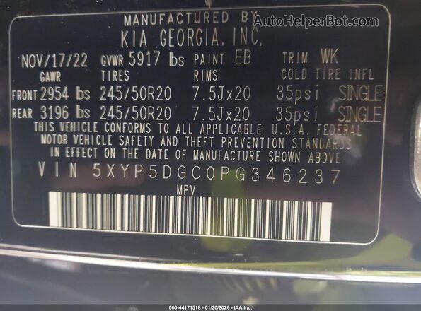 5XYP5DGC0PG346237 2023 KIA TELLURIDE Black Widok komory silnika