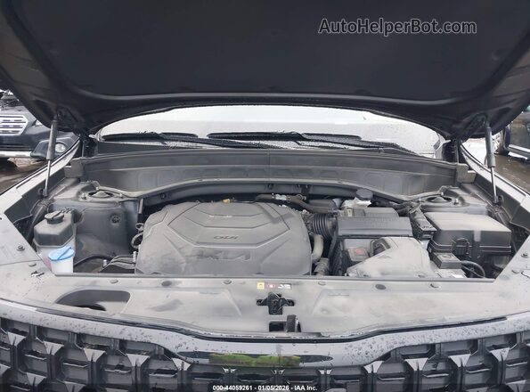 5XYP5DGC2RG509618 2024 KIA TELLURIDE Black Widok z tyłu