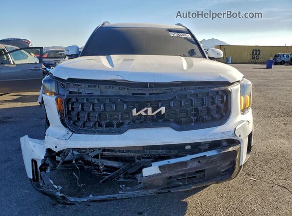 5XYP5DGC6RG499031 2024 KIA TELLURIDE Белый Вид спереди