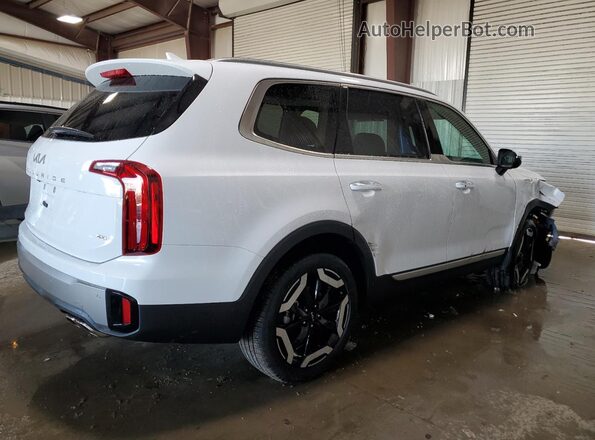 5XYP6DGC1SG684283 2025 KIA TELLURIDE White Tył prawy