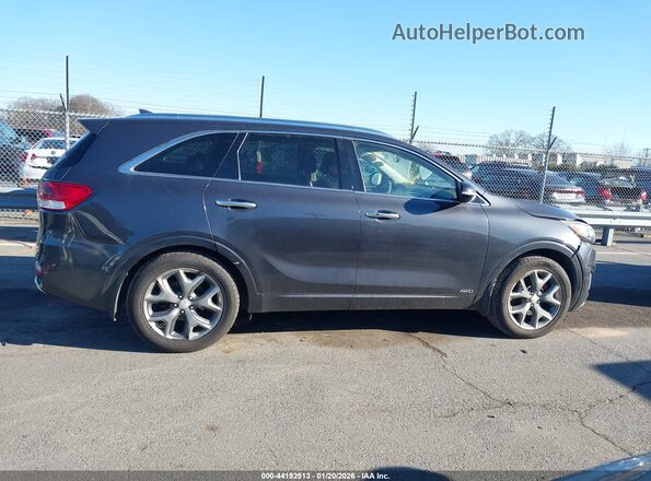 5XYPKDA55HG244341 2017 KIA SORENTO Gray Սալոնի հետևի տեսք