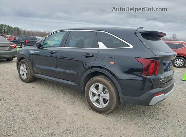 5XYRG4JC5TG417678 2026 KIA SORENTO Black Tył lewy