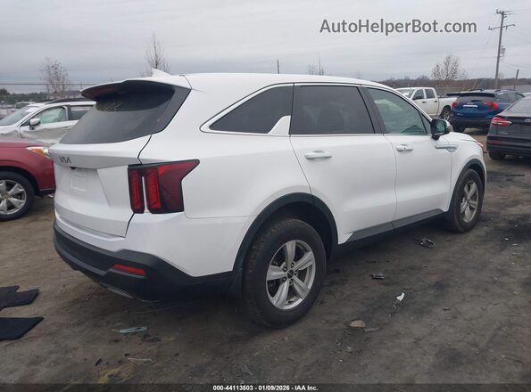 5XYRG4JC8SG340108 2025 KIA SORENTO Белый Задняя правая четверть