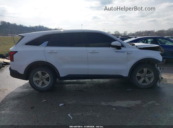 5XYRG4LC7MG040625 2021 KIA SORENTO White Սալոնի հետևի տեսք
