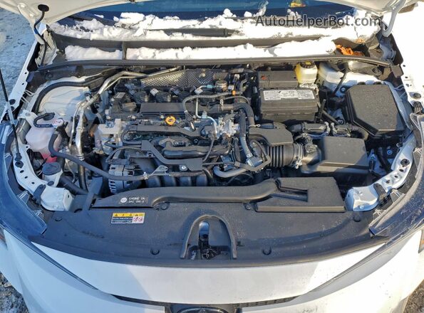 5YFB4MDE8TP359892 2026 TOYOTA LL White Սալոնի հետևի տեսք