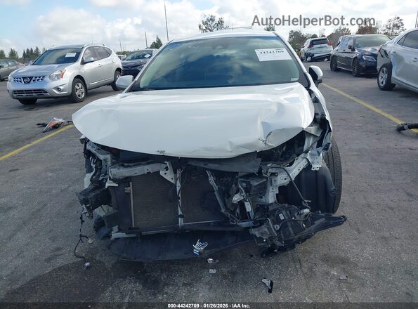 5YFEPRAE4LP023565 2020 TOYOTA LL Белый Вид задней части салона