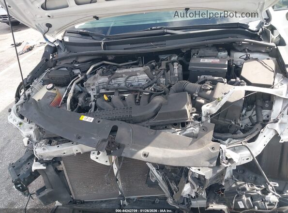 5YFEPRAE4LP023565 2020 TOYOTA LL Белый Вид сзади