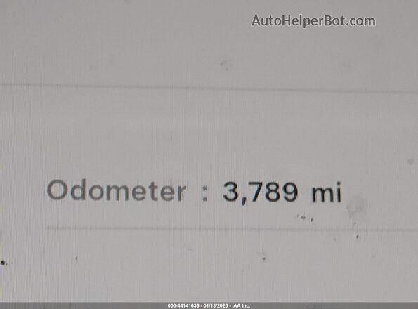 5YJ3E1EA8SF010446 2025 TESLA MODEL 3 Gray 