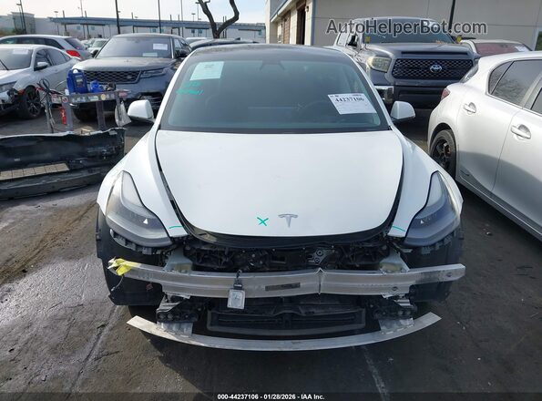 5YJ3E1EB3MF938919 2021 TESLA MODEL 3 White Սալոնի հետևի տեսք