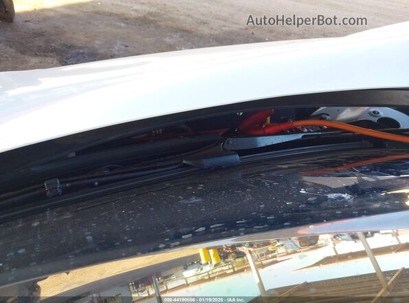 5YJ3E1EB4RF817971 2024 TESLA MODEL 3 White Հետևի տեսք