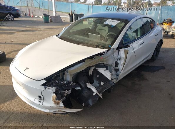 5YJ3E1EB6RF733599 2024 TESLA MODEL 3 White Vista tres cuartos delantera izquierda
