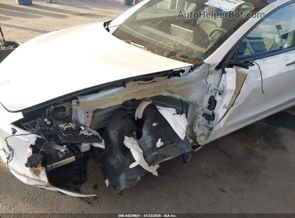 5YJ3E1EB6RF733599 2024 TESLA MODEL 3 White Vista frontal