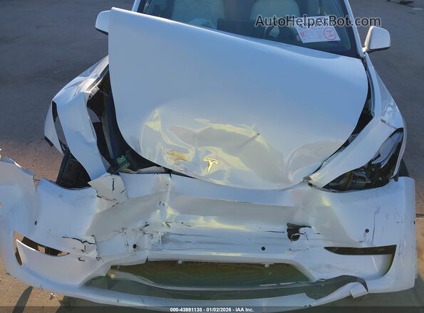 5YJYGDED3MF124692 2021 TESLA MODEL Y White Widok z tyłu