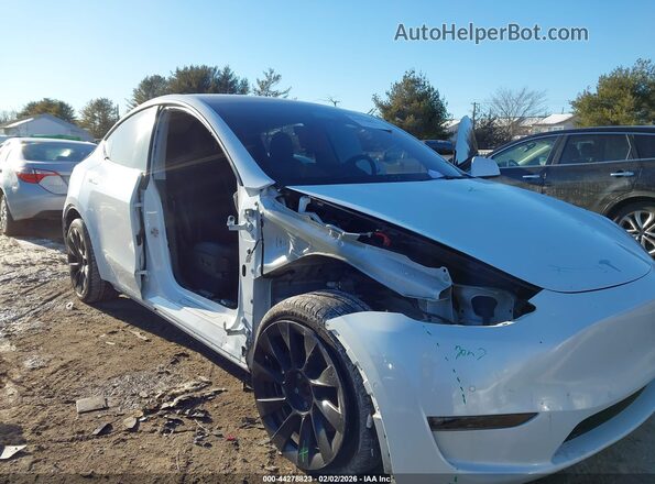5YJYGDEE9MF239399 2021 TESLA MODEL Y White 