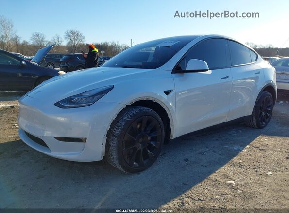 5YJYGDEE9MF239399 2021 TESLA MODEL Y White 