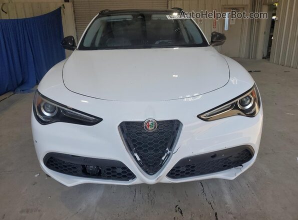 ZASPAKBN6M7D08889 2021 ALFA ROMEO STELVIO Белый Вид сзади