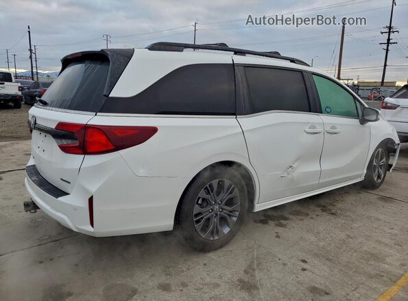 5FNRL6H83SB005645 2025 HONDA ODYSSEY White წინა მარჯვენა